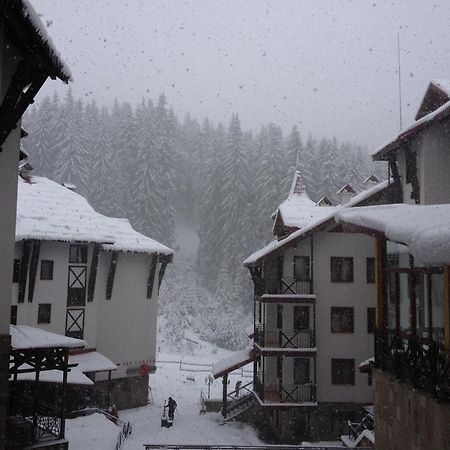 Ski Apartment In Castle Complex بامبوروفو المظهر الخارجي الصورة