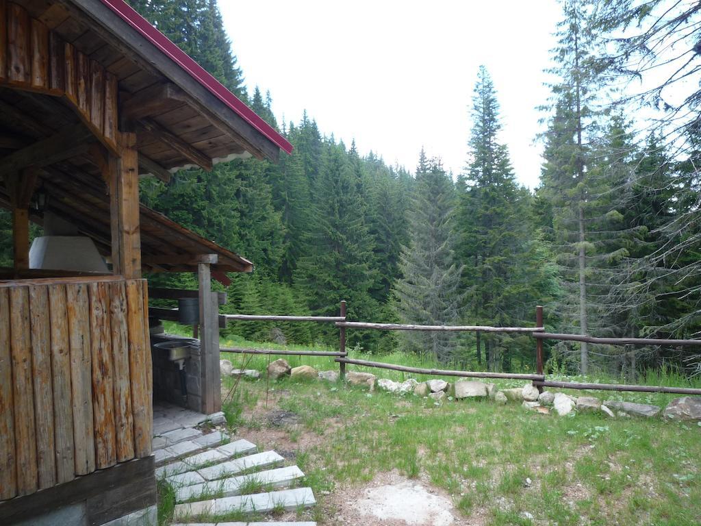 Ski Apartment In Castle Complex بامبوروفو الغرفة الصورة